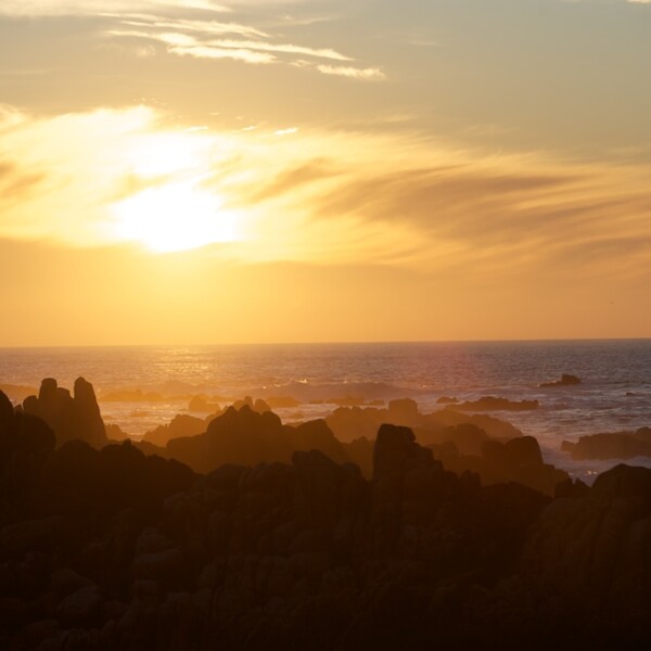 Pacific Grove 2011