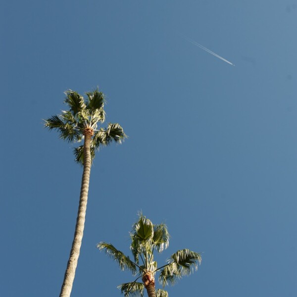 Los Angels 2011