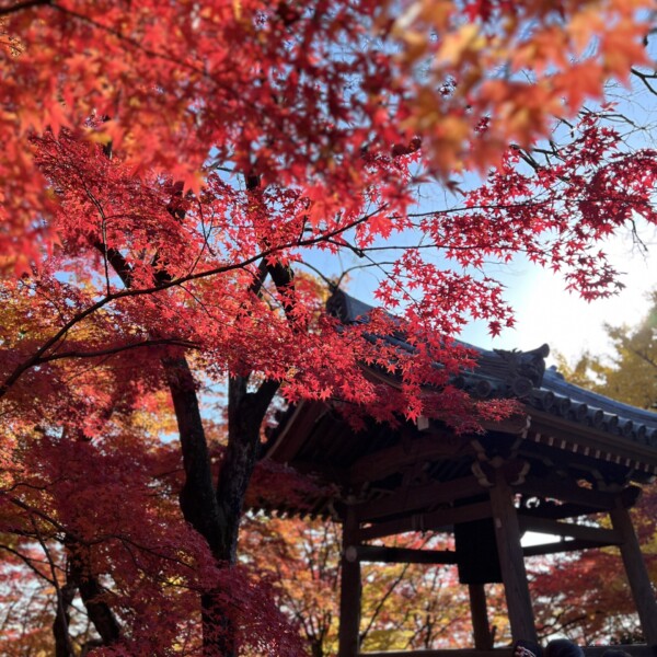 常寂光寺