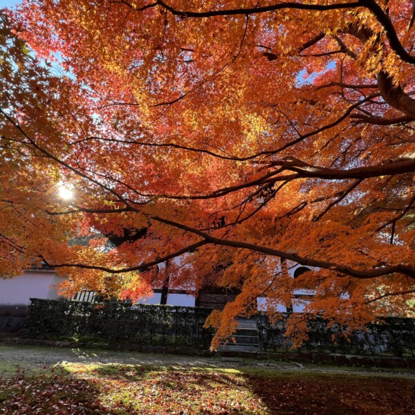東福寺