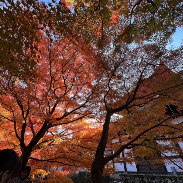 東福寺