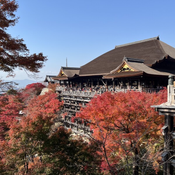 母と行く紅葉の京都旅行2024